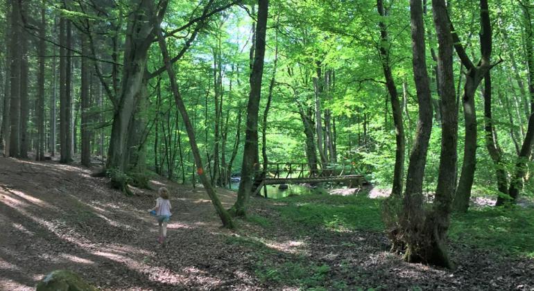 Gaesthus I Naturskoent Laege Genarp 외부 사진